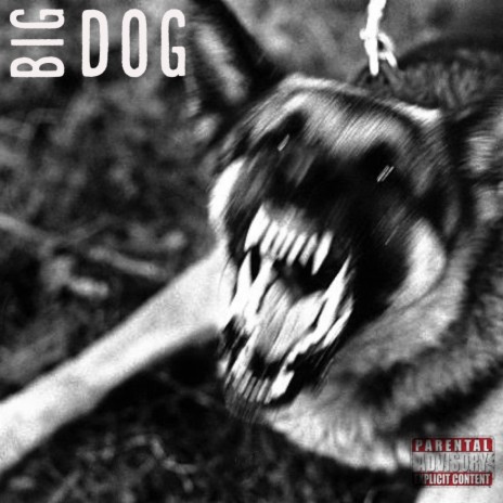 Big Dog (feat. Drewskii & Toven) | Boomplay Music