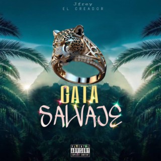 Gata Salvaje