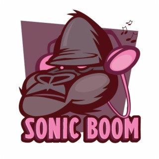 Sonic Boom