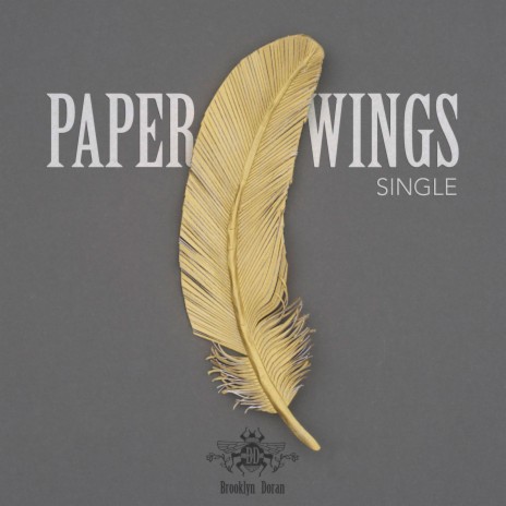 Paper Wings | Boomplay Music