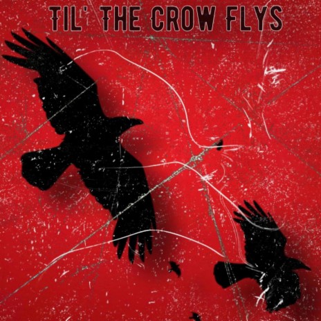 Til' The Crow Flys | Boomplay Music