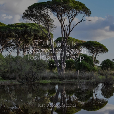 Beyond the Shimmering Sands ft. Chinese Relaxation and Meditation & Naturaleza Sonidos | Boomplay Music