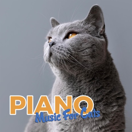 Cats Love Piano