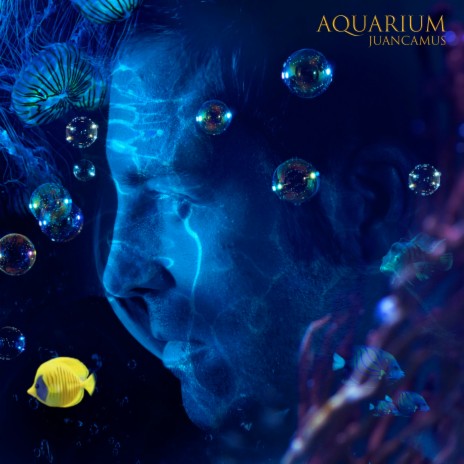 Aquarium (Radio Version) | Boomplay Music