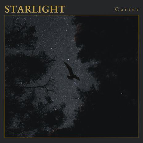 Starlight | Boomplay Music