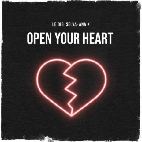 Open Your Heart ft. Selva & Ana K | Boomplay Music