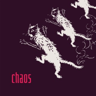 Chaos