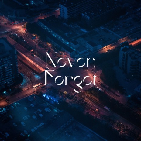 Never Forget (Acoustic Verison) | Boomplay Music