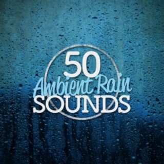 50 Ambient Rain Sounds