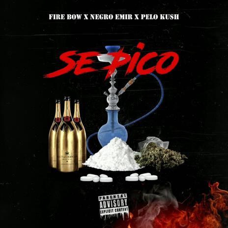 Se pico ft. Negroemir & Pelokush | Boomplay Music