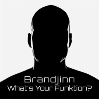 What's Your Funktion?