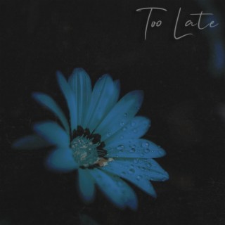 Too Late lyrics | Boomplay Music