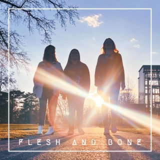 Flesh & Bone lyrics | Boomplay Music