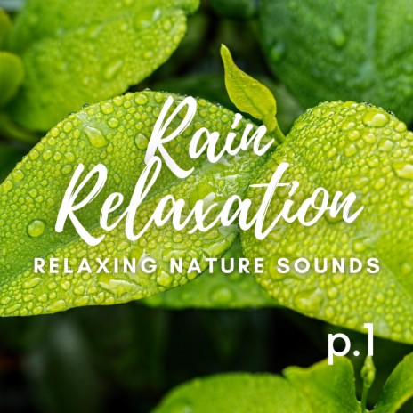 Rain On Leaves Sounds & Thunder Relaxation & Meditation