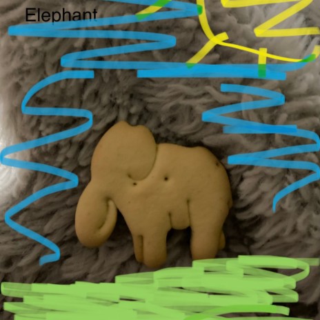 Elephant | Boomplay Music