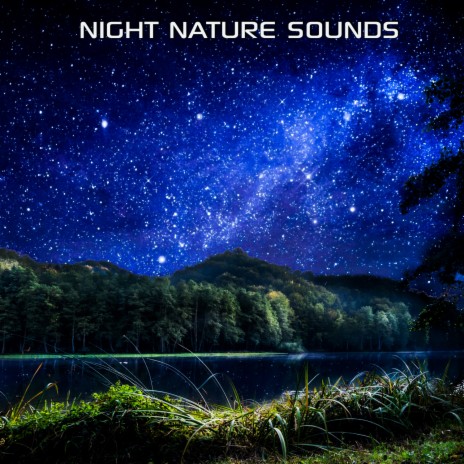 Sleeping Night Nature Sounds ft. Nerves System Cleaning Sounds, The Nature Sound FX, Discovery Sounds FX, Atmospheres FX & Love Nature Soundscapes | Boomplay Music