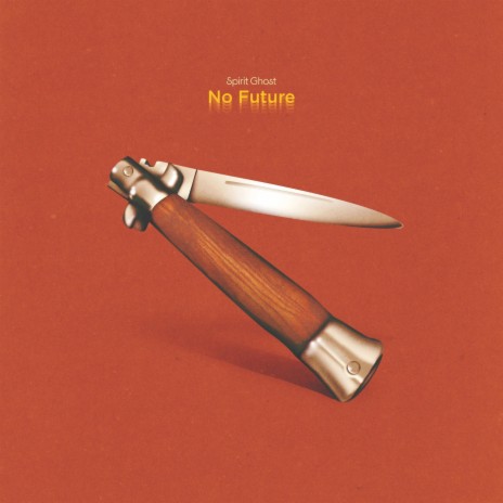 No Future | Boomplay Music