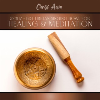 528Hz – Big Tibetan Singing Bowl for Healing & Meditation