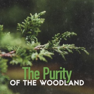 The Purity of the Woodland