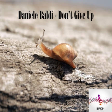 Don't Give Up (Radio Mix) | Boomplay Music