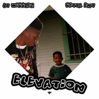 Elevation