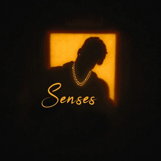 Senses