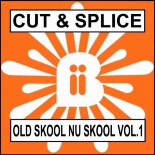 Old Skool Nu Skool Vol.1