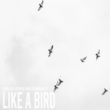 Like a Bird ft. Emilio Morales & Cuatro | Boomplay Music