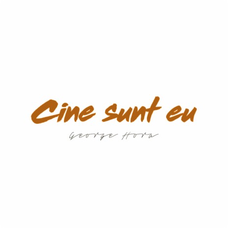 Cine Sunt Eu (Acoustic Version) | Boomplay Music