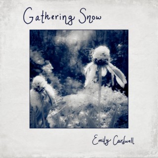 Gathering Snow