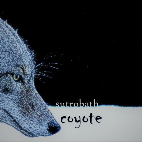 Coyote | Boomplay Music