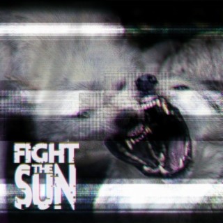 Fight the Sun | Boomplay Music