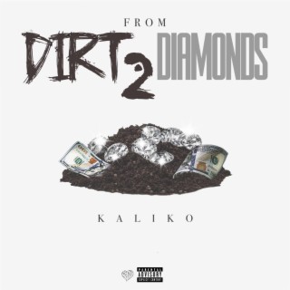 From Dirt 2 Diamonds