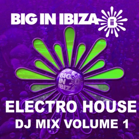 Electro House: DJ Mix Vol 1