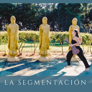 La segmentación