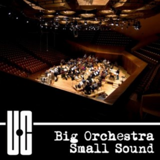 Big Orchestra Small Sound