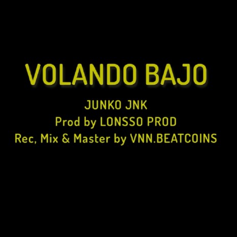 Volando Bajo | Boomplay Music