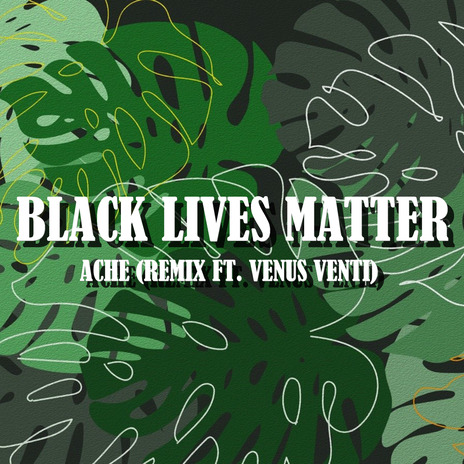 Black Lives Matter (Remix) ft. Venus Venti | Boomplay Music