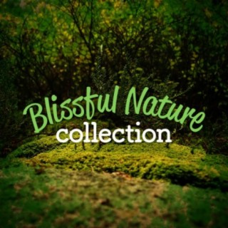 Blissful Nature Collection