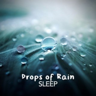 Drops of Rain: Sleep