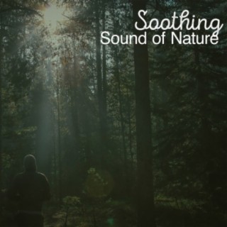 Soothing Sound of Nature