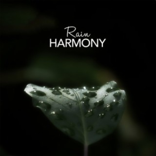 Rain Harmony