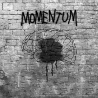 Momentum