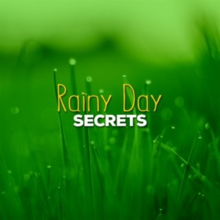 Rainy Day Secrets