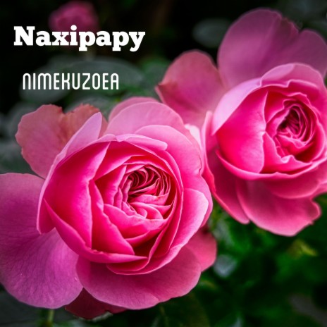 Nimekuzoea | Boomplay Music