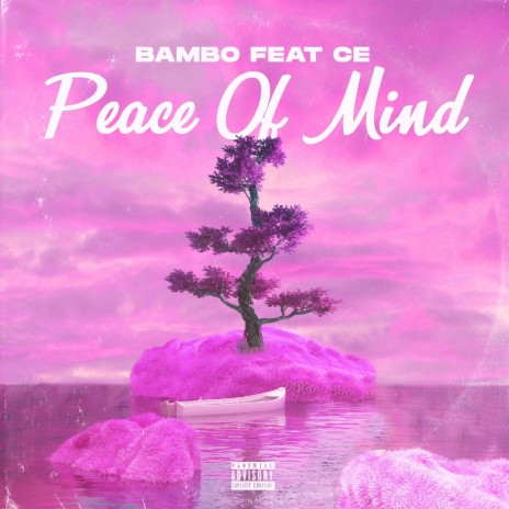 Peace of Mind (feat. CE)