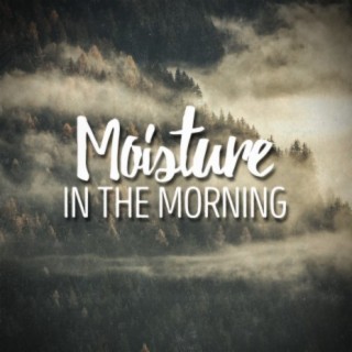 Moisture in the Morning