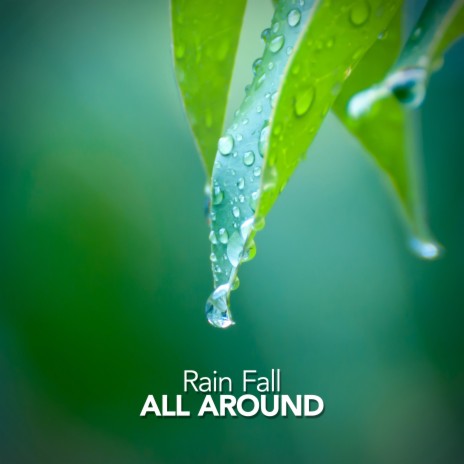 Real Rainfall | Boomplay Music