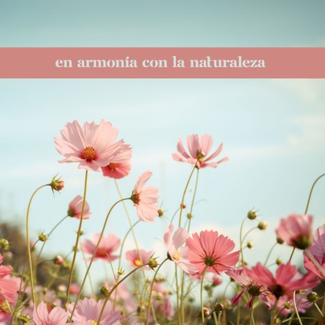 Naturaleza Amiga