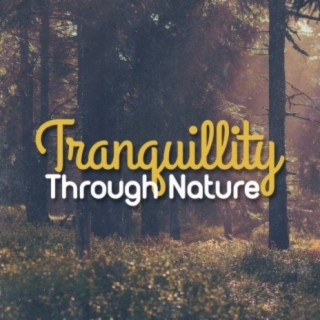 Tranquillity Through Nature